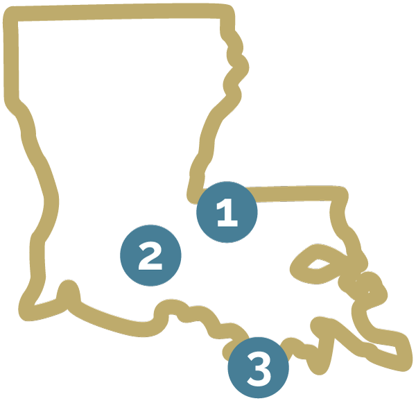 Louisiana map with numbers