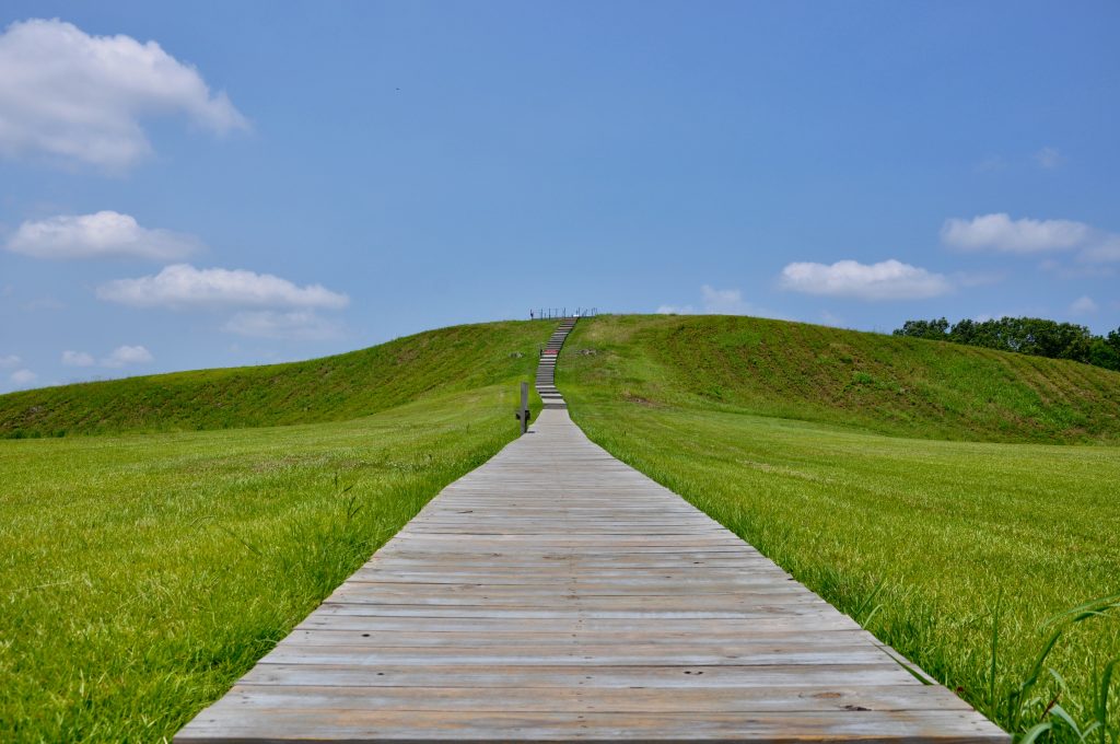 Image of Mound A at Poverty Point.