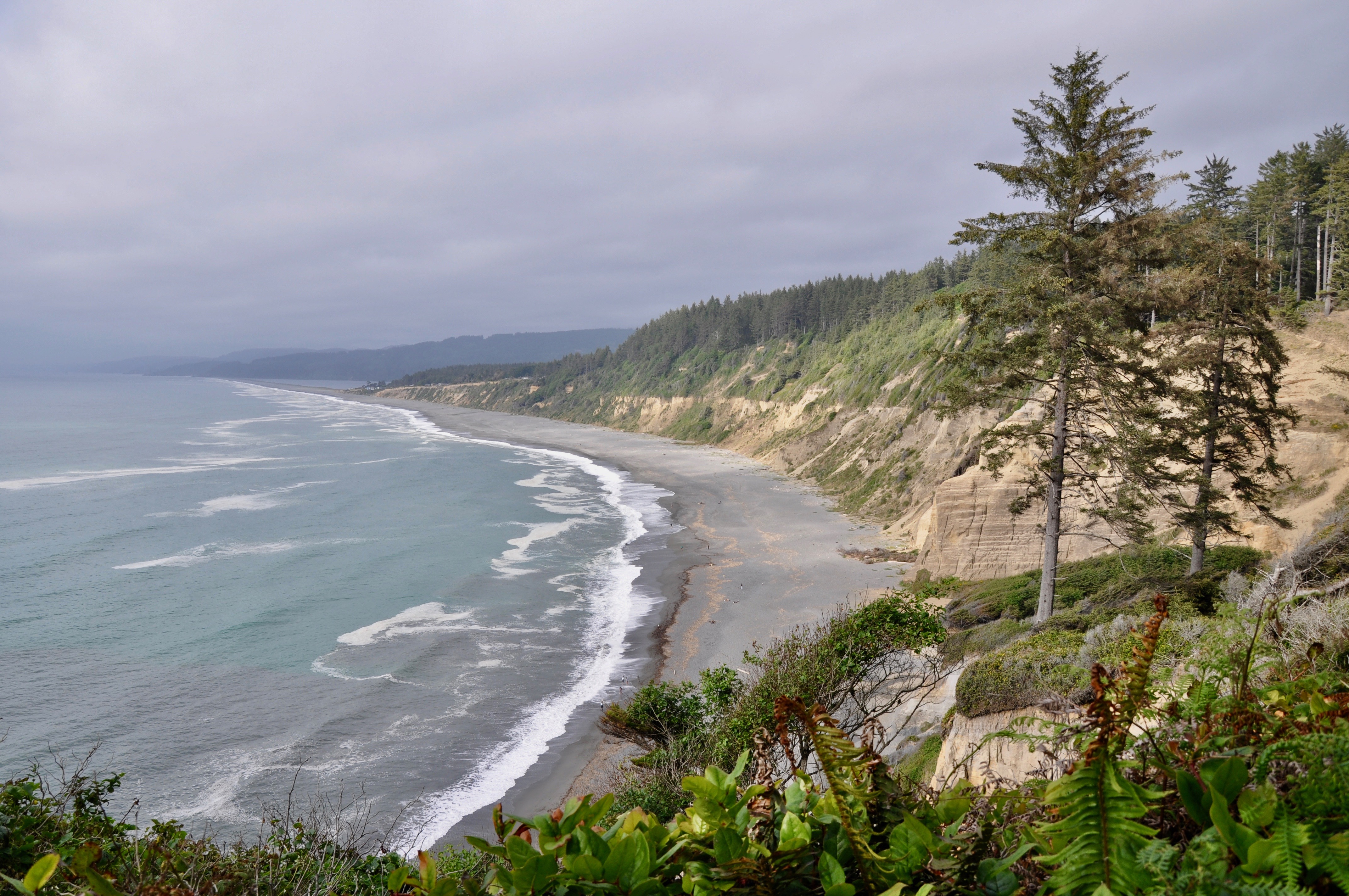 Agate Beach near California's Redwoods and Beaches