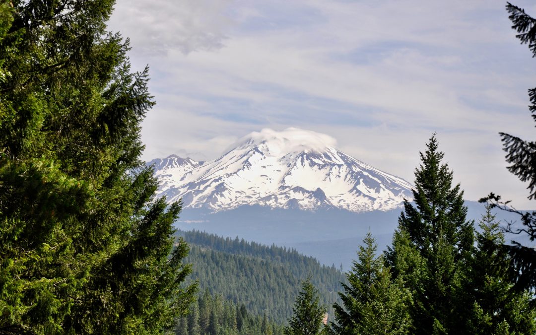 View of Mt. Shasta, one of northern California's volcanoes