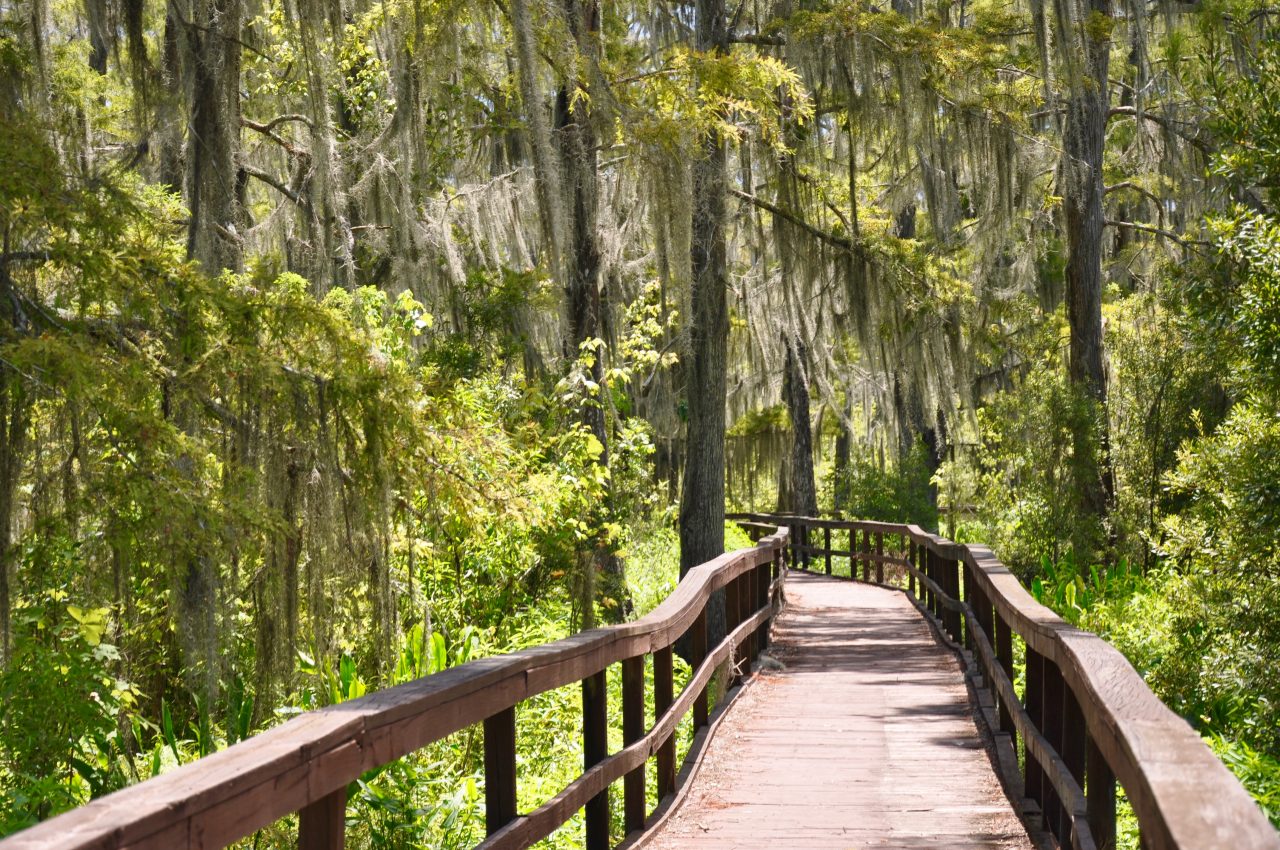 Top Day Hikes in Louisiana - Getting Lost in Louisiana